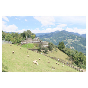 六月色婷婷中文字幕
